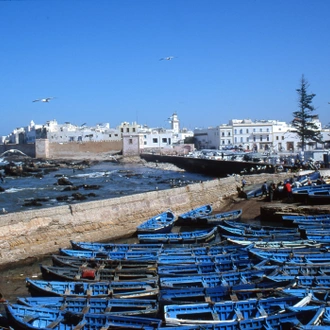 tourhub | Exodus Adventure Travels | Cycle Morocco's Great South 