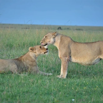 tourhub | Royal Private Safaris | 7 DAYS BEST OF KENYA SAFARI 