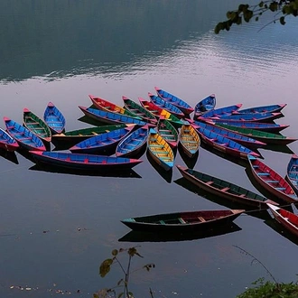 tourhub | Liberty Holidays | Pleasing Pokhara City with captivating Chitwan Jungle Tour from Kathmandu  