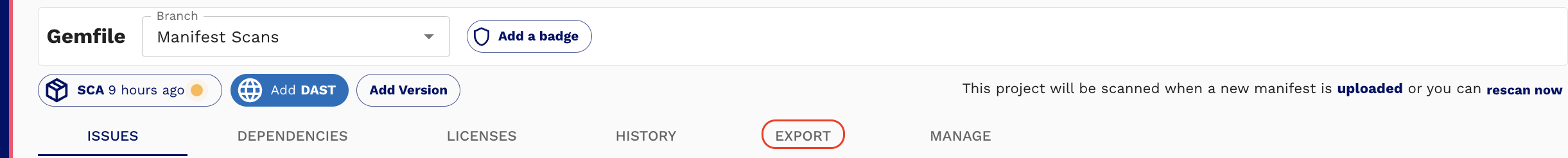 Project detail page displaying Export tab