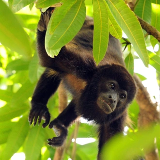 tourhub | Exodus Adventure Travels | Costa Rica's Coastal Secrets 