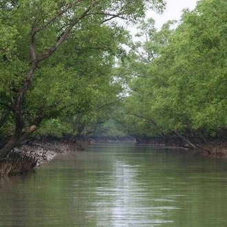 tourhub | Agora Voyages | Sunderban Mangrove Wetland - Tiger Reserve 