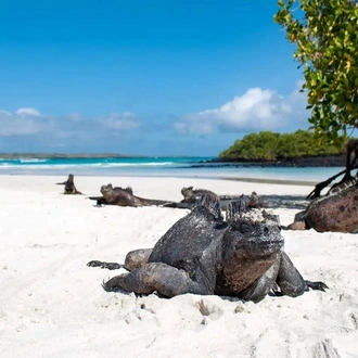 tourhub | Today Voyages | Xplore Ecuador & Galapagos Islands 