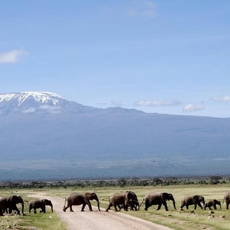 tourhub | Gracepatt Ecotours Kenya | 6 Days Amboseli Tsavo West & Taita Hills Safari  