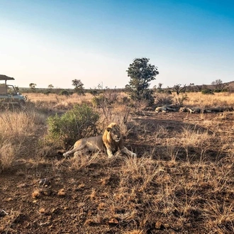 tourhub | Trafalgar | Best of South Africa with Victoria Falls 