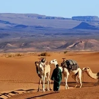 tourhub | Morocco Global Adventures | From Marrakech: 3 day trip to Fes via Merzouga Desert & Camel trek 