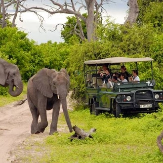 tourhub | On The Go Tours | Hwange, Chobe & Falls - 10 days 