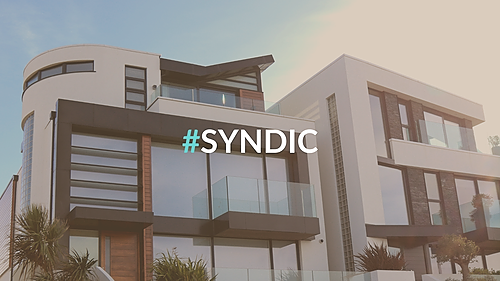 Représentation de la formation : Le syndic de copropriété – Copropriété neuve et syndic provisoire