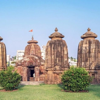 tourhub | Agora Voyages | Tribal Heritage & Tiger Trails: Bhubaneshwar to Nagpur Tour 