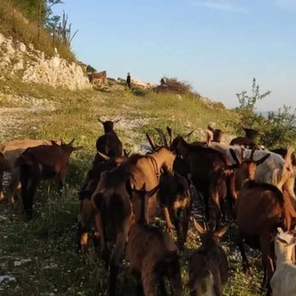 tourhub | The Natural Adventure | Coastal Albania Walking Holiday 