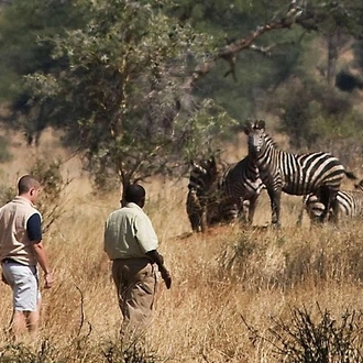 tourhub | Gracepatt Ecotours Kenya | 3 Days Tarangire National park Wildlife Safari  