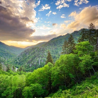 tourhub | Intrepid Travel | Hiking the Best of Great Smoky Mountains National Park		 