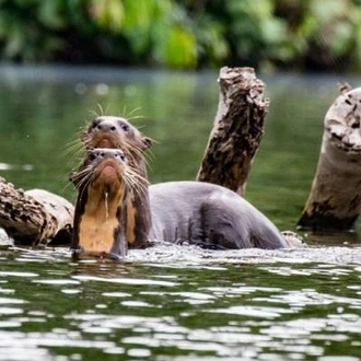 tourhub | Ecuador Galapagos Travels | 8 Days Cuyabeno Wildlife Reserve and Middle of the World Discovery 