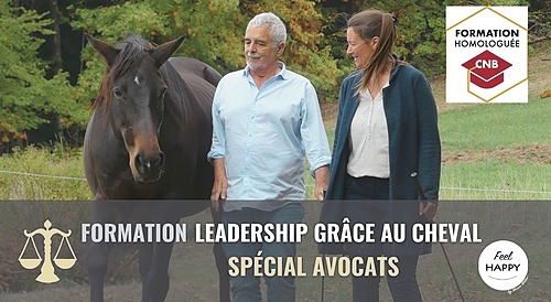 Représentation de la formation : Leadership grâce au cheval - spécial avocats