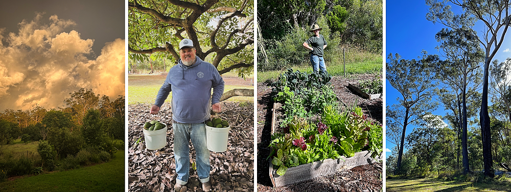 Half Moon Farm