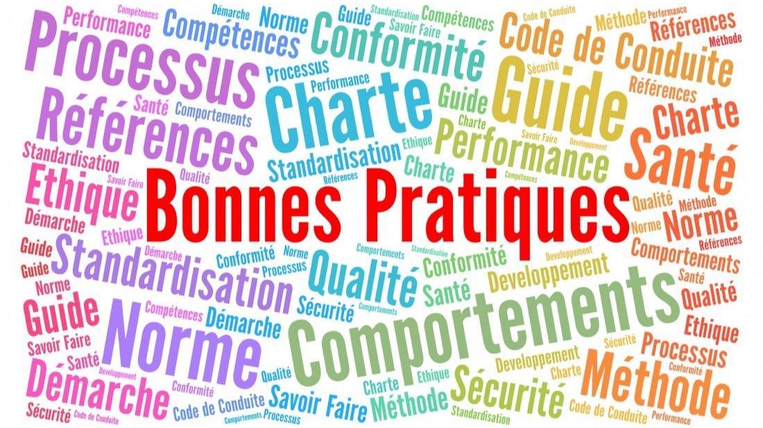 Représentation de la formation : RBPP HAS : S'approprier et transposer les Recommandations de Bonnes Pratiques Professionnelles de la HAS 