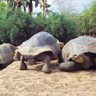 tourhub | BM Tours | Galapagos - Santa Cruz and Isabela. 6 Days Tours 