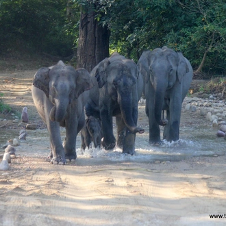 tourhub | Agora Voyages | Delhi to Corbett Tiger Reserve 