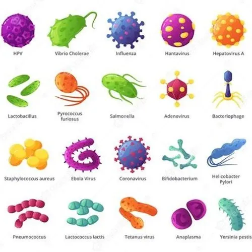 Parasite + Mold + Bacteria Scan 