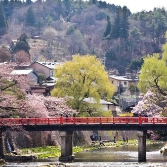 tourhub | On The Go Tours | Cherry Blossom Festival - 13 days 