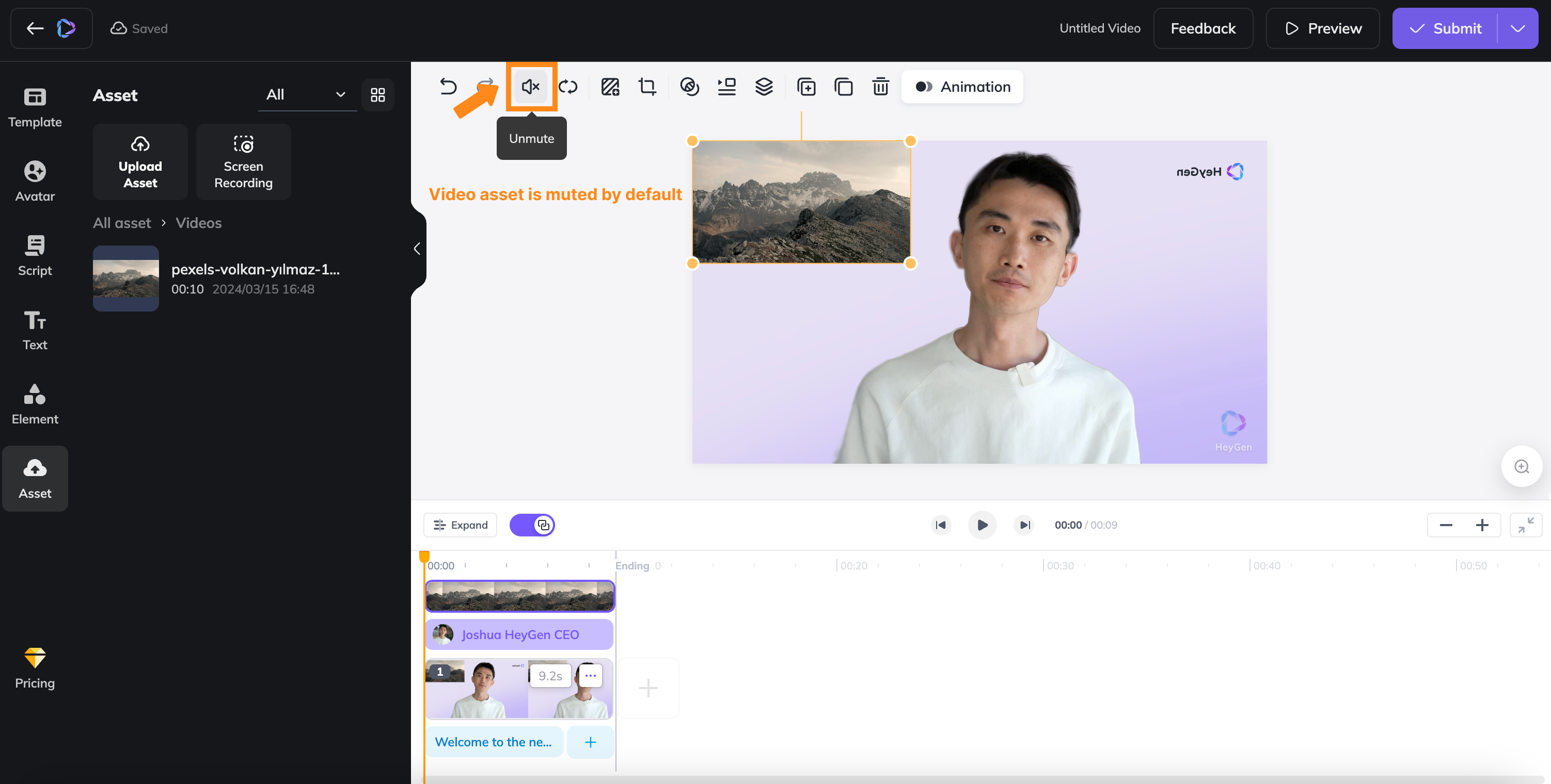 How to Use Video Asset in HeyGen?