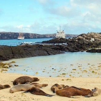 tourhub | Bamba Travel | Galapagos Island Hopping Adventure 5D/4N 