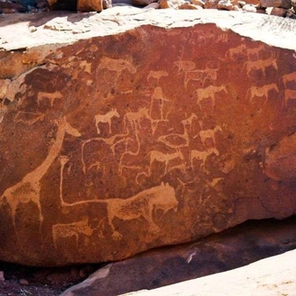 tourhub | Wild Frontiers | Namibia: Sands of Time 