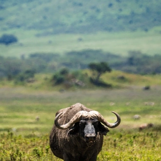 tourhub | Beach and Safari Holidays | Tanzania's Photographic Safari: Capturing Wildlife Wonders 