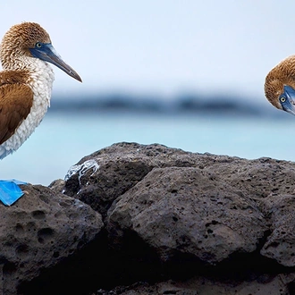 tourhub | Exodus Adventure Travels | Island Hopping in the Galapagos (2024) 