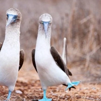 tourhub | Ecuador Galapagos Travels | 7 Days Galapagos Expedition: San Cristobal & Santa Cruz Island 