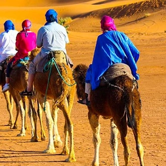 tourhub | Bamba Travel | Morocco Group Discovery 8D/7N 