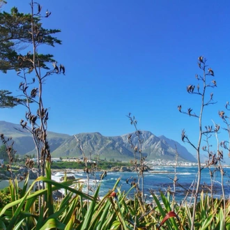 tourhub | ATC South Africa | Cape Town with Garden Route and Vineyards, Private tour 