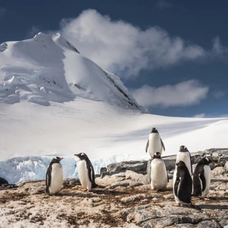 tourhub | Today Voyages | Antarctica - Discovery and learning voyage + navigational workshop 