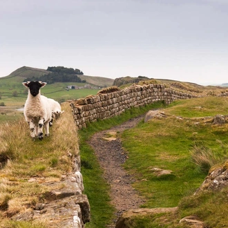 tourhub | Explore! | Cycle Hadrian's Wall - Coast to Coast 