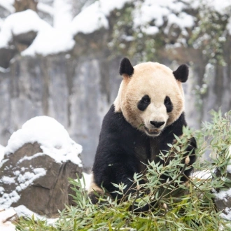 tourhub | Wendy Wu | Christmas in China 