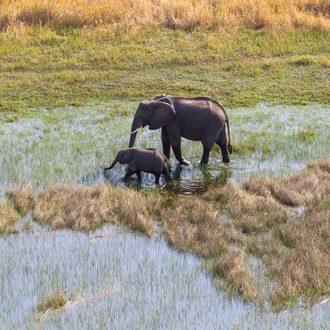 tourhub | Exodus Adventure Travels | Botswana & Namibia: Delta & Dunes 