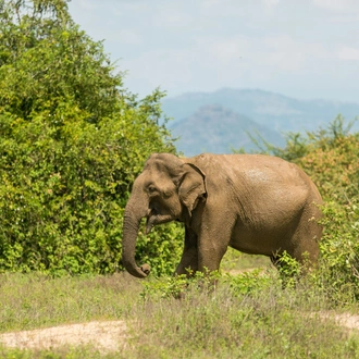 tourhub | The Dragon Trip | Active Sri Lanka Tour: Surf, Raft, Hike 