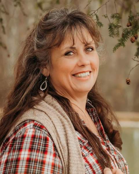 Paula Lynn Stephens Profile Photo