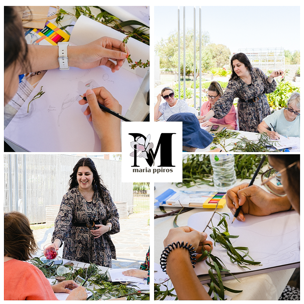 Photograph collation from Maria's workshop series in the 2023 Nature Festival program