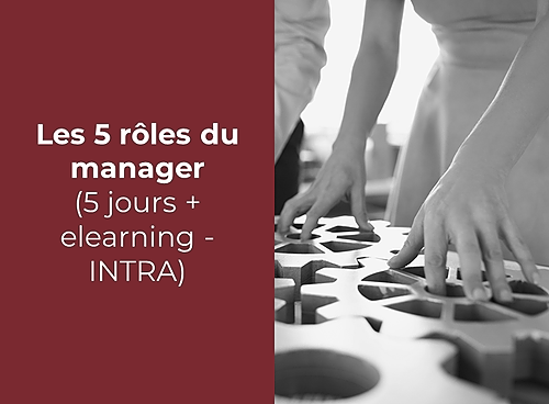 Représentation de la formation : Les 5 rôles du manager (5 jours + elearning - INTRA)