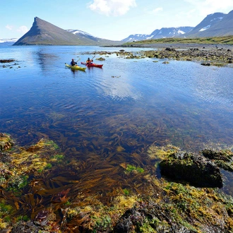 tourhub | Borea Adventures | Paddle in the Wild  