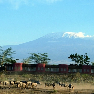 tourhub | Today Voyages | Luxury Tsavo Amboseli Safari With Beach Extension 