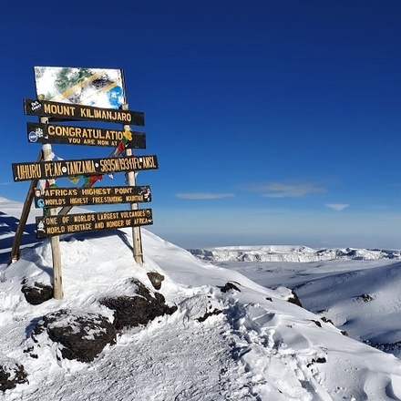 7 days Lemosho route- Kilimanjaro trekking | climbing | treking