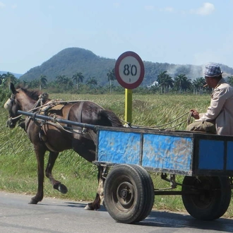 tourhub | Explore! | Highlights of Cuba by Bicycle 