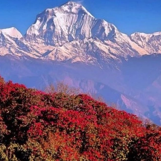 tourhub | Liberty Holidays | Annapurna Sunrise Trek from Kathmandu 