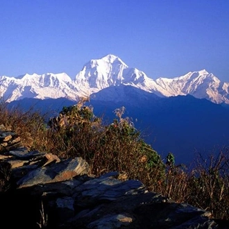 tourhub | Sherpa Expedition & Trekking | Ghorepani Poon Hill Trek 4 Days 