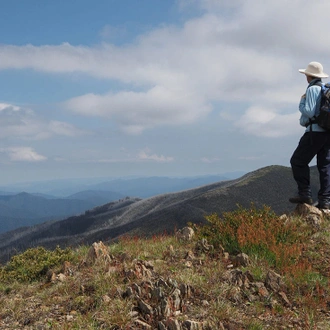 tourhub | Intrepid Travel | Walk Victoria's High Country 