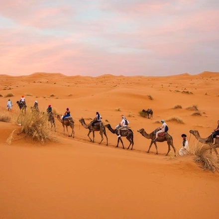 Moroccan Desert Adventure: River Canyons & Camels
