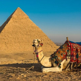 tourhub | Your Egypt Tours | 4 days 3 nights private family tour for the best of Cairo 