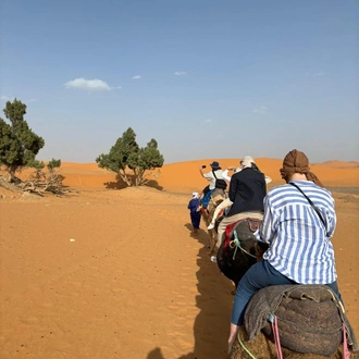 tourhub | Morocco Global Adventures | 9 Days Tour Of Imperial Cities Morocco South And North Via Sahara Desert 